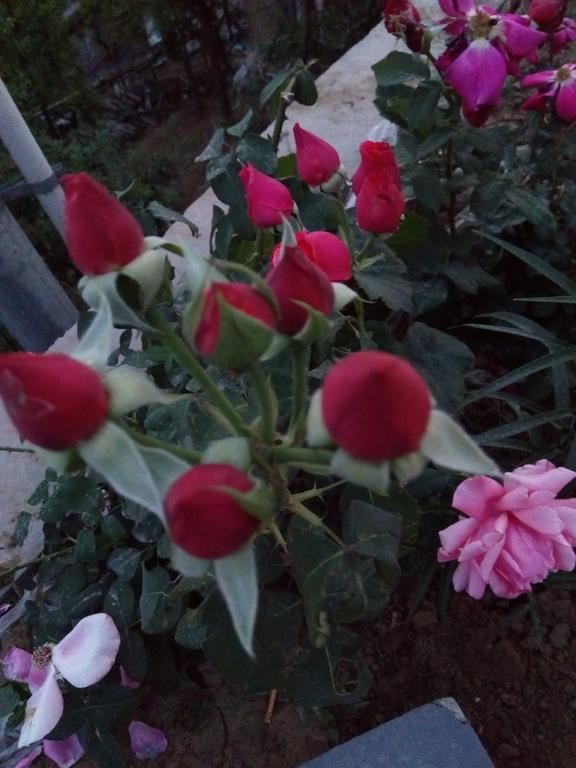 הואירו Beijing Huanghuacheng Water Great Wall Derunju Guesthouse מראה חיצוני תמונה